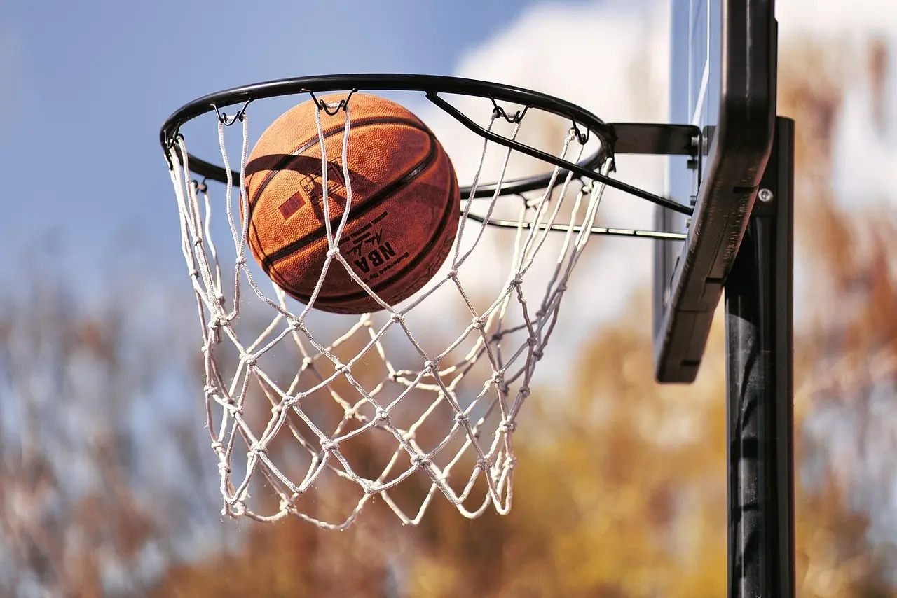 Basketball i net